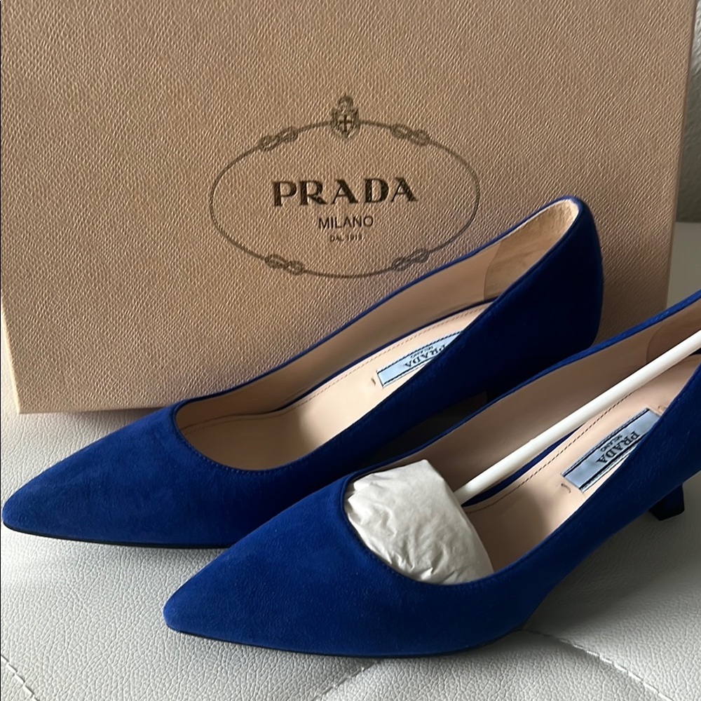Prada Blue Heels with Pointed Toe Design